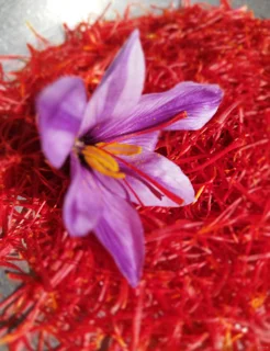 زعفران